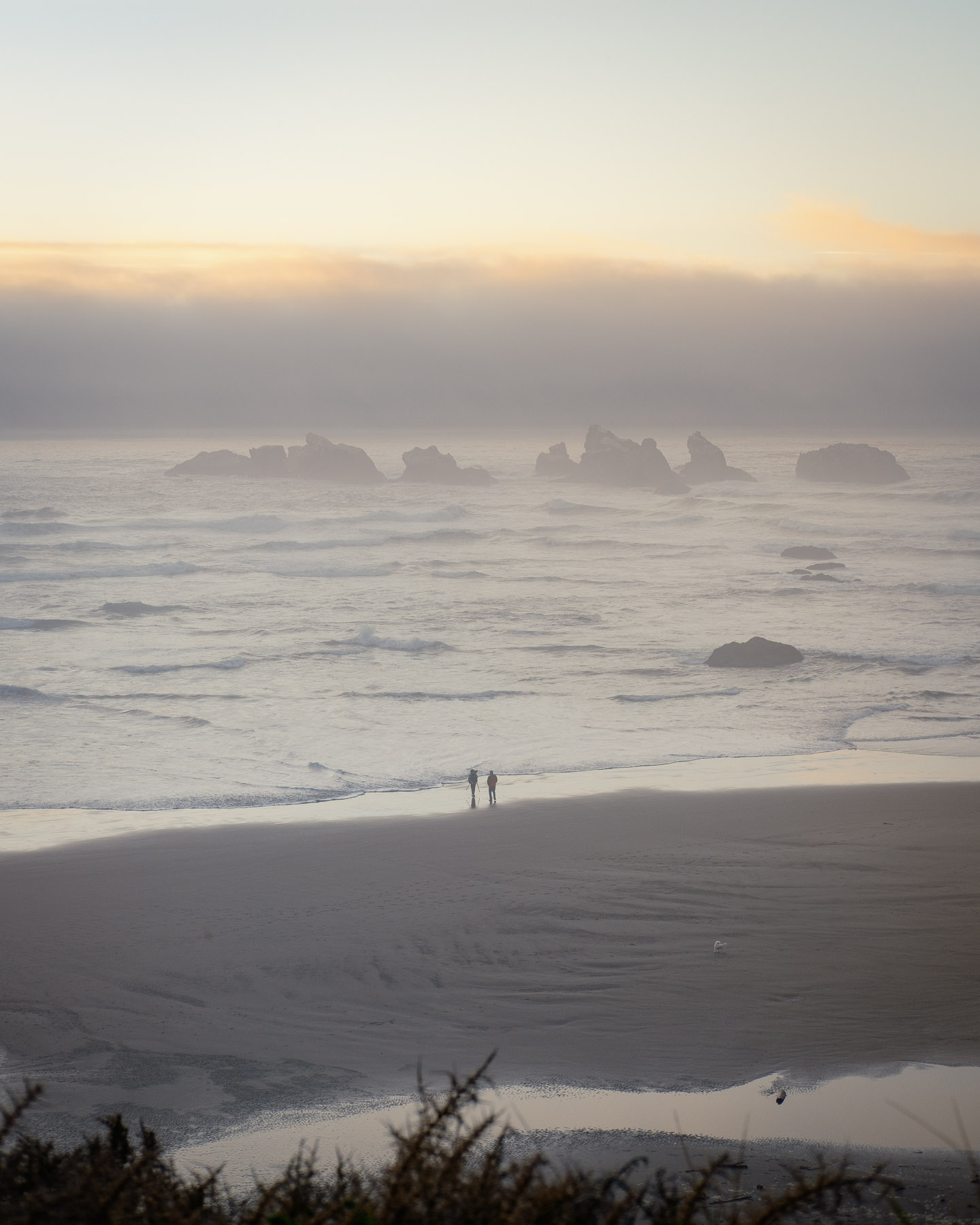 Pacific Northwest Road Trip photo titled Pacific Coast 52